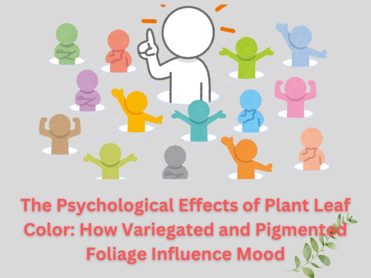 You are currently viewing The Psychological Effects of Plant Leaf Color: How Variegated and Pigmented Foliage Influence Mood