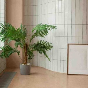 Indoor Plant Cluster Design Ideas: “Aesthetic and Functional Harmony”