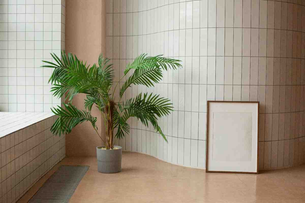 You are currently viewing Indoor Plant Cluster Design Ideas: “Aesthetic and Functional Harmony”